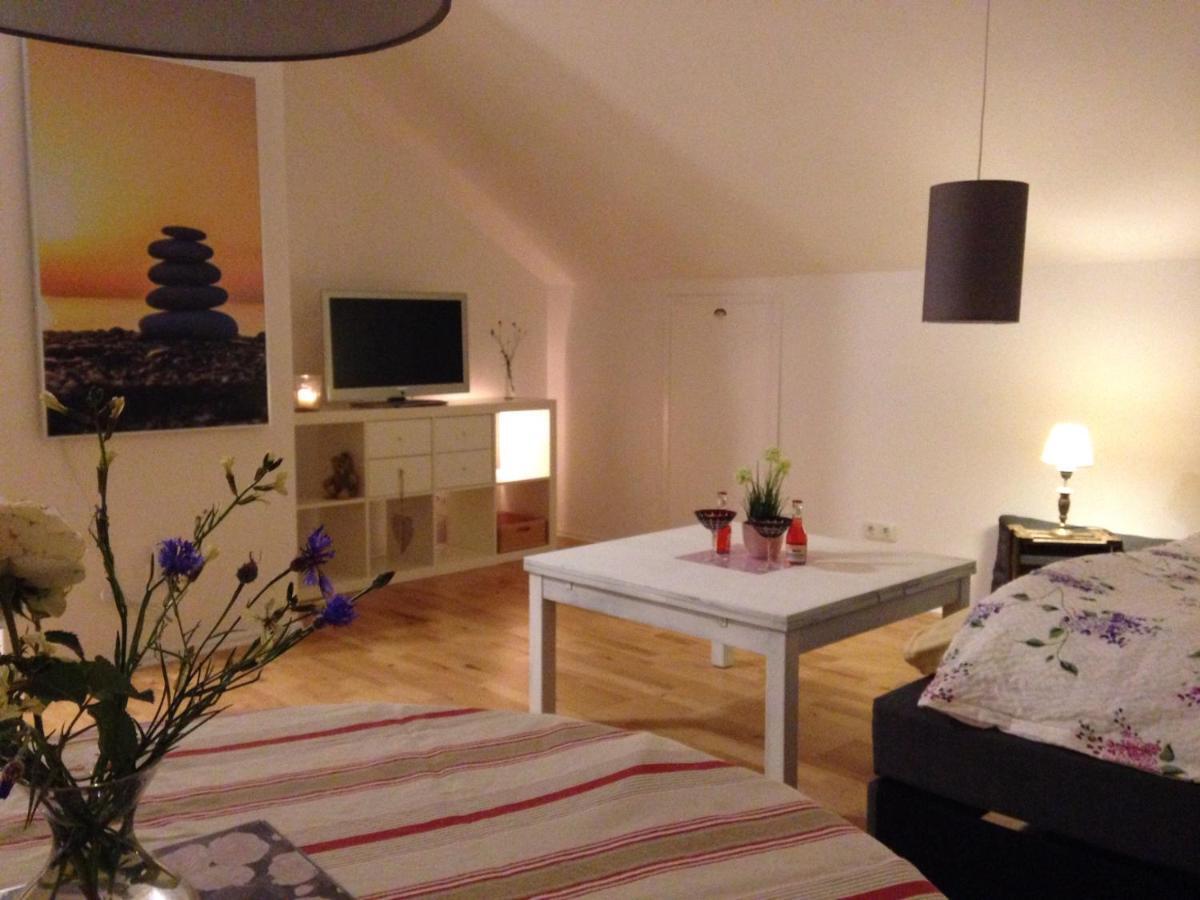 Gemuetliche, Grosszuegige Ferienwohnung 잘츠하우젠 외부 사진